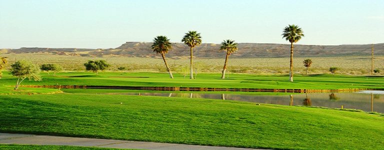 Palms Golf Club Golfing Mesquite Palms Golf Club Golfing Mesquite