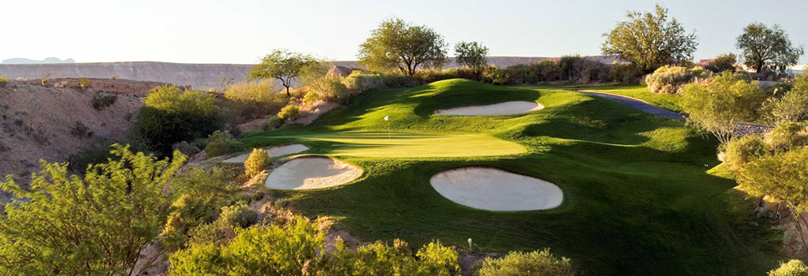 Oasis Palmer Golfing Mesquite