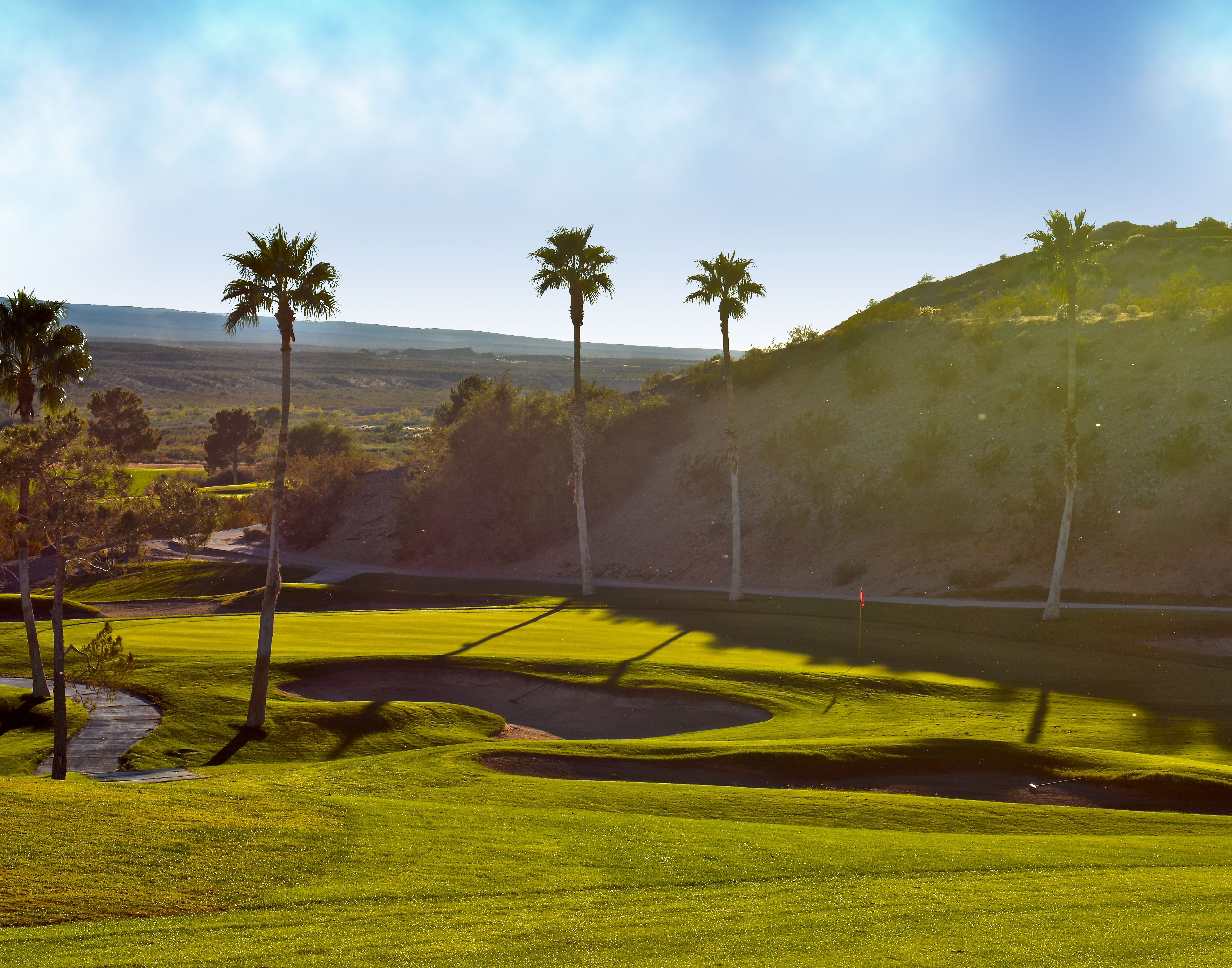 Palms-Hole-10